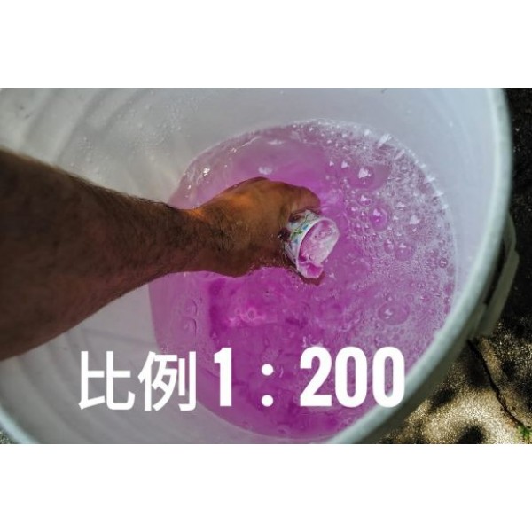 美國製 3D 洗車水蠟水 WASH AND WAX 1加侖 泡泡洗車蠟水