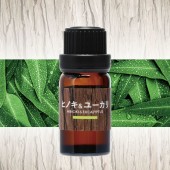 日本 CARMATE BLANG 汽車用家用USB電動噴霧式天然香料配合香薰機 ( 補充裝 )  油森林香味檜木和尤加利桉樹 香薰油