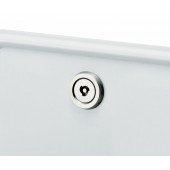 日本製造 CARMATE 汽車用防盜銀色手裹劍形車牌鏍絲