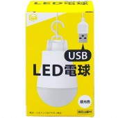 日本 USB LED 小燈泡 汽車維修用照明用車中泊用房燈床頭燈露營燈帳篷燈